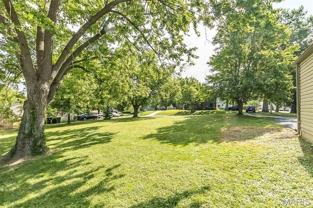 12243 Old Big Bend Rd, Kirkwood, MO 63122 - photo 3