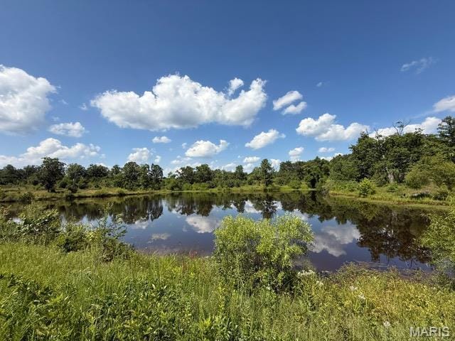 26189 Bcr 320, Marble Hill, MO 63764 - photo 23
