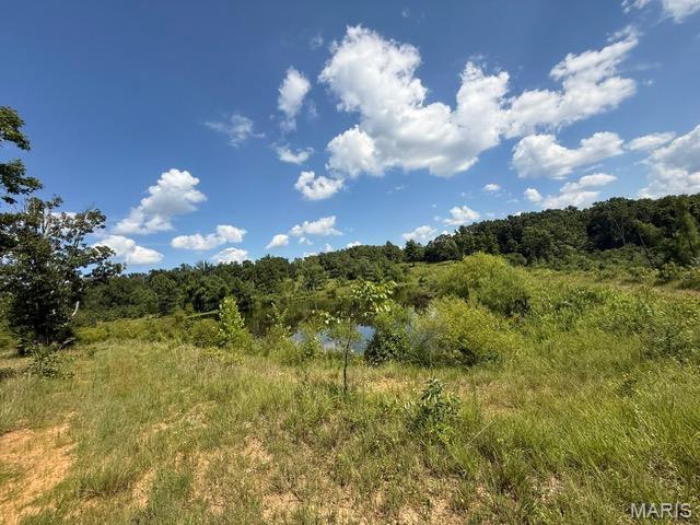 26189 Bcr 320, Marble Hill, MO 63764 - photo 24