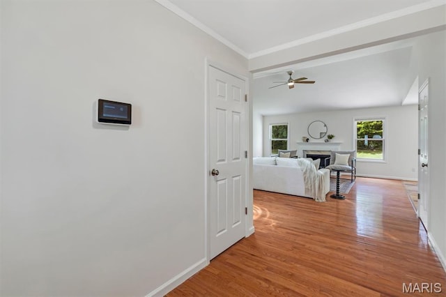3848 Bedford Pointe Dr, Wentzville, MO 63385 - hallway with light wood-style floors and ornamental molding