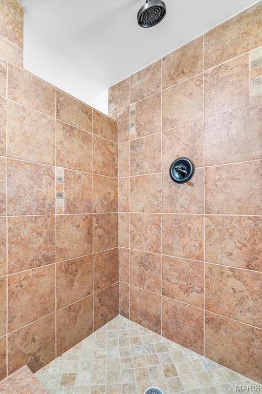 3848 Bedford Pointe Dr, Wentzville, MO 63385 - bathroom featuring tiled shower