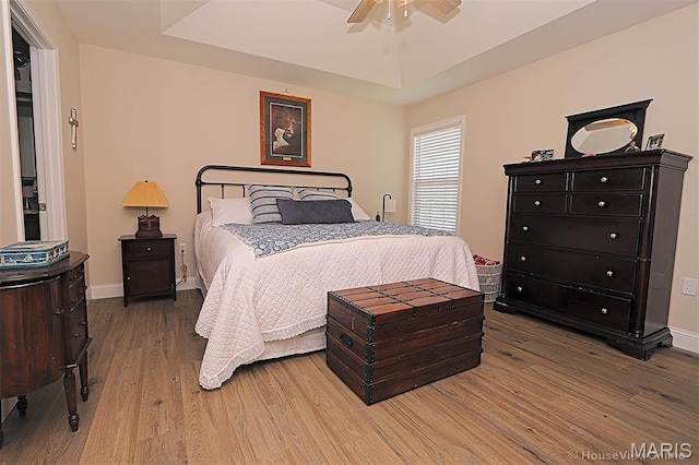 3576 Mill View Xing, Cape Girardeau, MO 63701 - bedroom with wood finished floors, a ceiling fan, and a raised ceiling