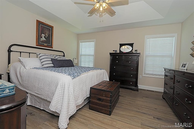 3576 Mill View Xing, Cape Girardeau, MO 63701 - bedroom featuring wood finished floors, a raised ceiling, and a ceiling fan