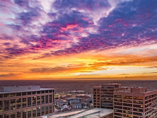 8025 Maryland Ave Unit 8H, Clayton, MO 63105 - view of city