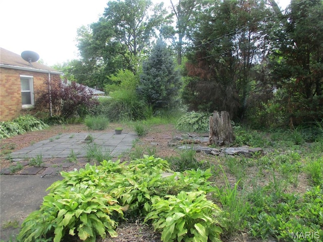 2823 Darwin Ct, Saint Louis, MO 63121 - view of yard featuring a patio
