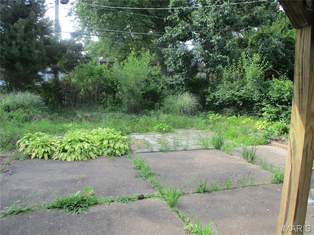 2823 Darwin Ct, Saint Louis, MO 63121 - view of yard featuring a patio
