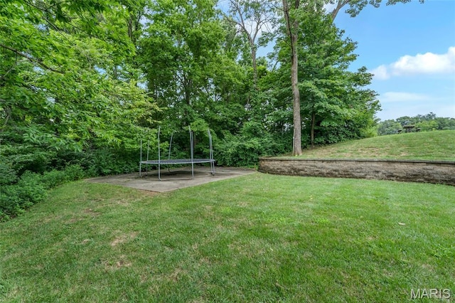 2850 Woodson Dr, Columbia, IL 62236 - photo 7