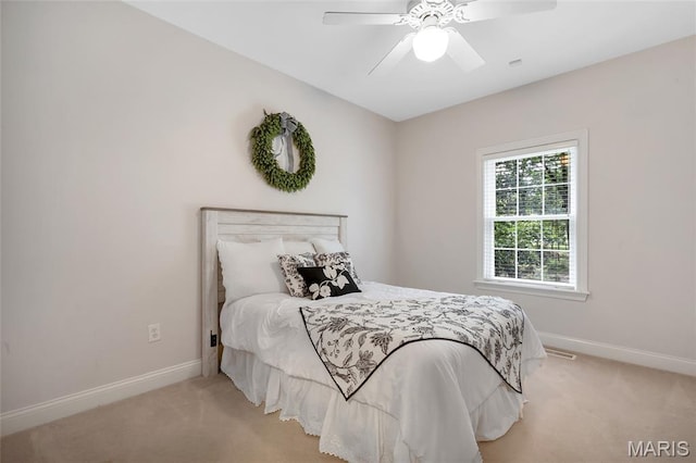 2850 Woodson Dr, Columbia, IL 62236 - photo 48