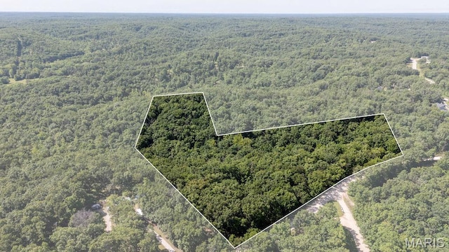 000 Aubrey Bell Rd, Camdenton, MO 65020