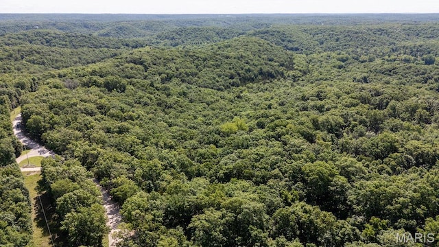 000 Aubrey Bell Rd, Camdenton, MO 65020