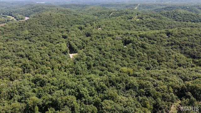 000 Aubrey Bell Rd, Camdenton, MO 65020