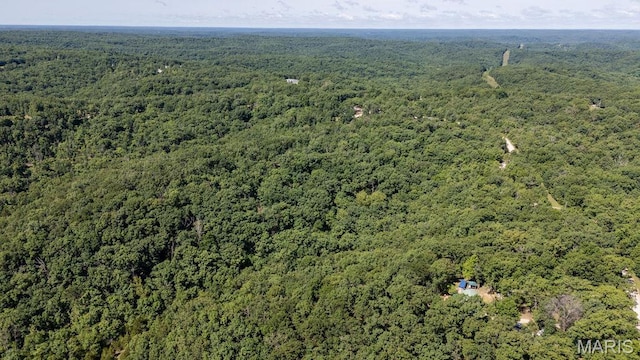 000 Aubrey Bell Rd, Camdenton, MO 65020