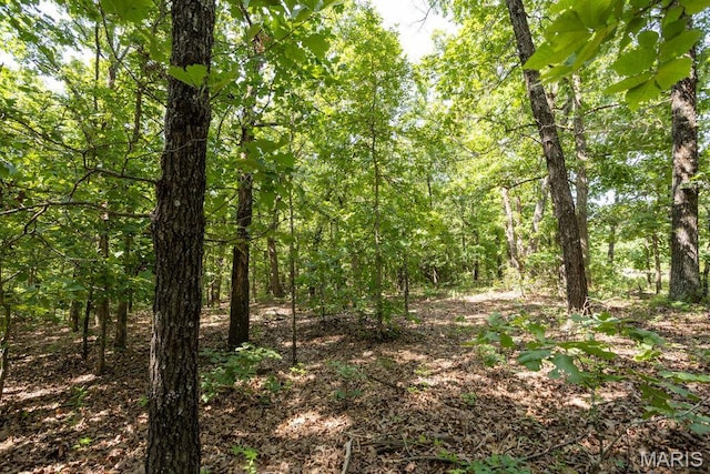000 Aubrey Bell Rd, Camdenton, MO 65020