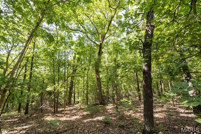 000 Aubrey Bell Rd, Camdenton, MO 65020