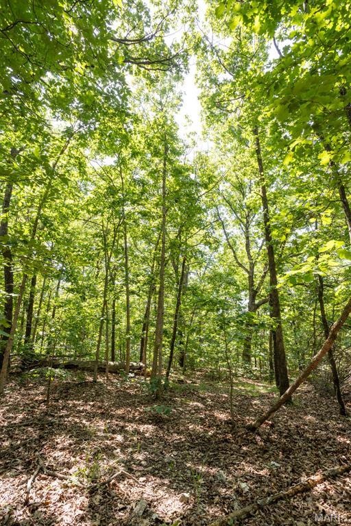 000 Aubrey Bell Rd, Camdenton, MO 65020