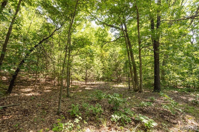 000 Aubrey Bell Rd, Camdenton, MO 65020