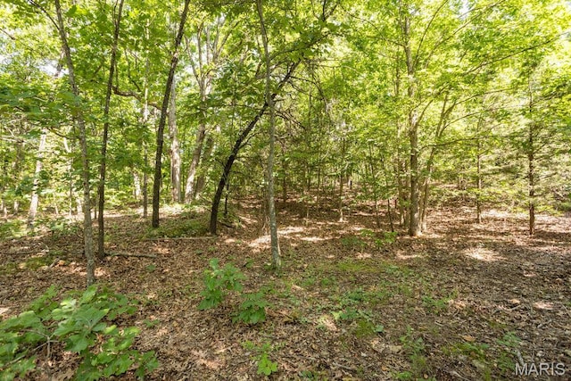 000 Aubrey Bell Rd, Camdenton, MO 65020