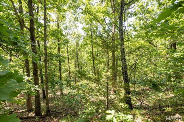 000 Aubrey Bell Rd, Camdenton, MO 65020