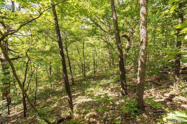 000 Aubrey Bell Rd, Camdenton, MO 65020