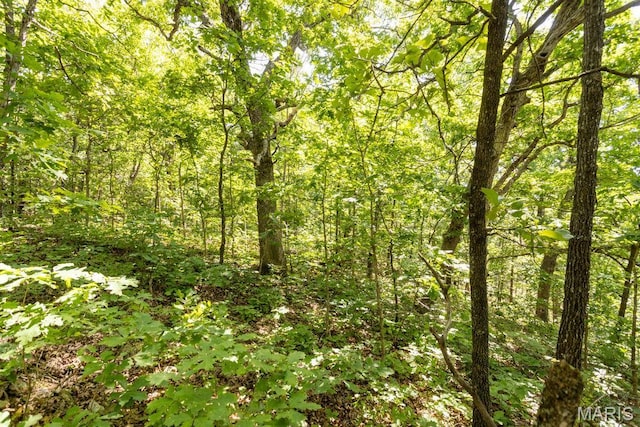 000 Aubrey Bell Rd, Camdenton, MO 65020