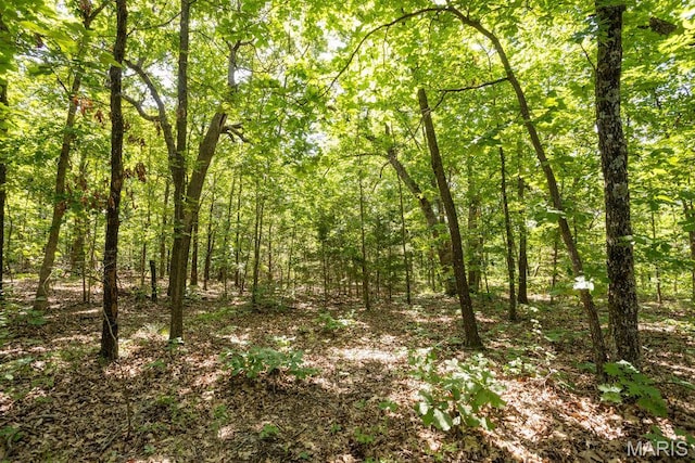 000 Aubrey Bell Rd, Camdenton, MO 65020