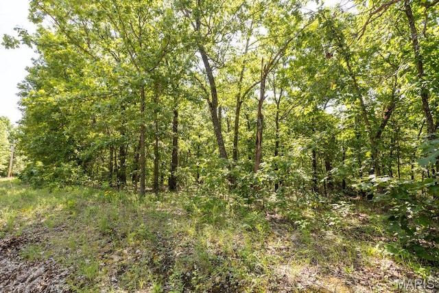 000 Aubrey Bell Rd, Camdenton, MO 65020