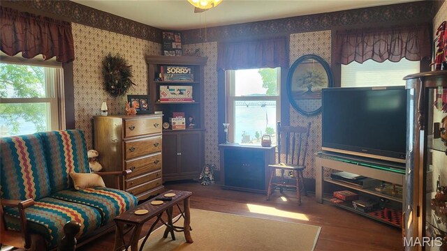 403 N Main St, Louisiana, MO 63353 - photo 27
