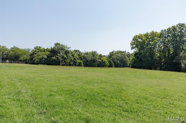 10030 Vail Dr, Hillsboro, MO 63050 - photo 48