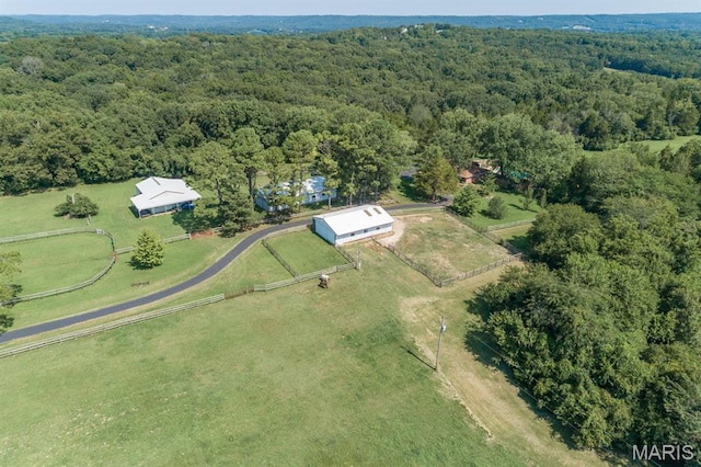 10030 Vail Dr, Hillsboro, MO 63050 - photo 66
