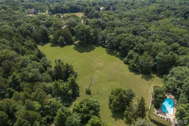 10030 Vail Dr, Hillsboro, MO 63050 - photo 77