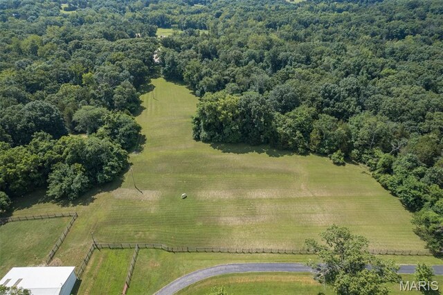 10030 Vail Dr, Hillsboro, MO 63050 - photo 83