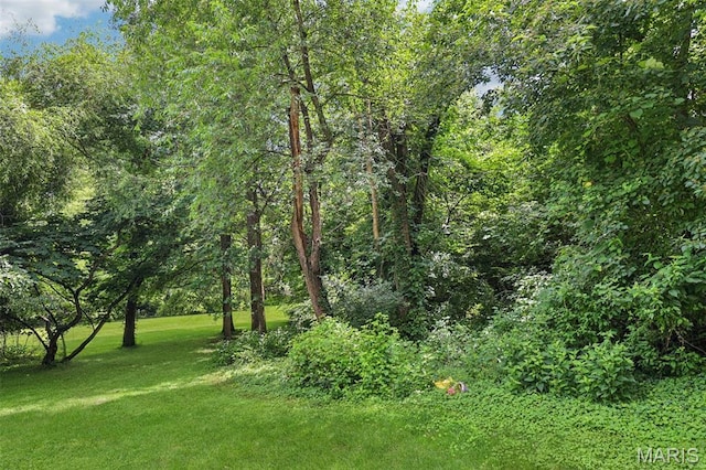 11111 Whispering Oaks Dr, Ferguson Township, MO 63136 - photo 35