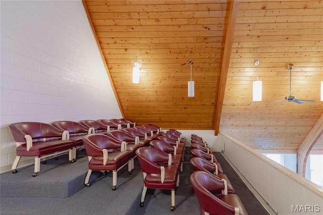 4869 Scottsdale Rd, House Springs, MO 63051 - cinema featuring ceiling fan, carpet flooring, and wood ceiling