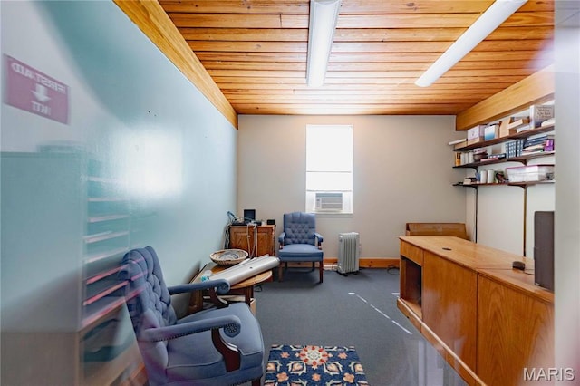 4869 Scottsdale Rd, House Springs, MO 63051 - carpeted office featuring radiator heating unit, wooden ceiling, and cooling unit