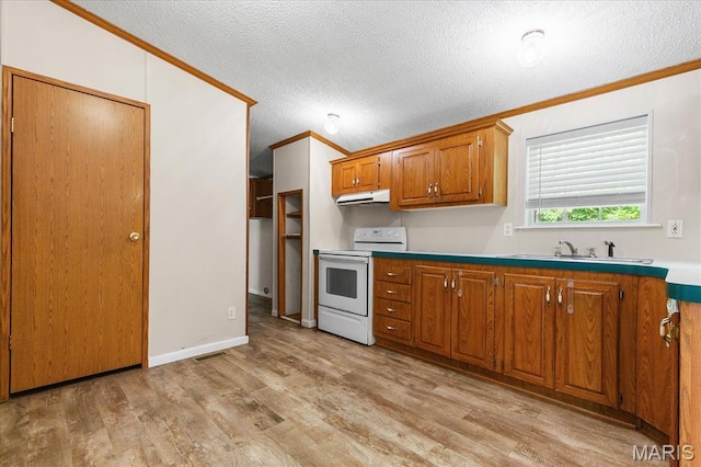 434 Cool Springs Ln, Wright City, MO 63390 - kitchen with white range with electric stovetop, crown molding, light wood finished floors, a textured ceiling, and brown cabinets