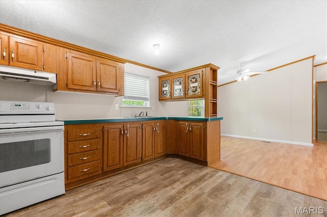 434 Cool Springs Ln, Wright City, MO 63390 - kitchen with white range with electric cooktop, under cabinet range hood, light wood-style floors, brown cabinetry, and crown molding