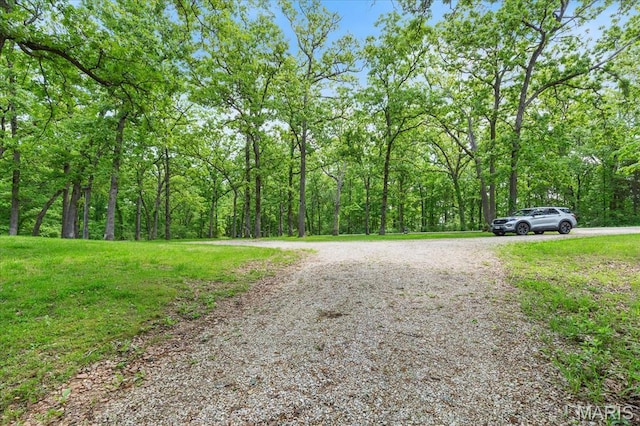 434 Cool Springs Ln, Wright City, MO 63390 - view of dirt / gravel road with a view of trees