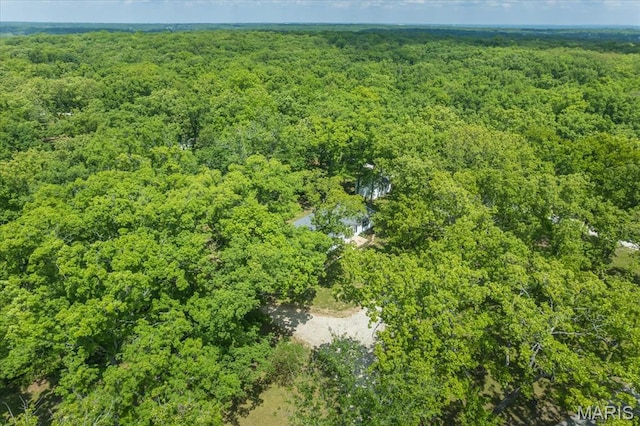434 Cool Springs Ln, Wright City, MO 63390 - drone / aerial view of a forest
