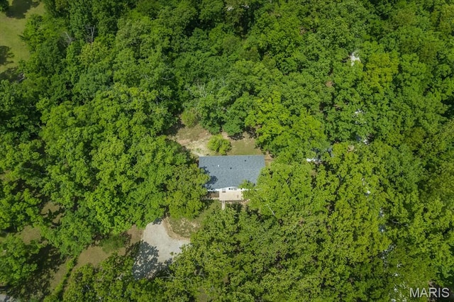 434 Cool Springs Ln, Wright City, MO 63390 - view of subject property