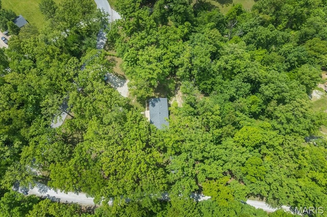 434 Cool Springs Ln, Wright City, MO 63390 - aerial view