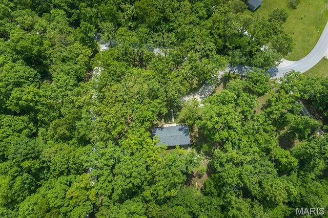 434 Cool Springs Ln, Wright City, MO 63390 - aerial view of property's location