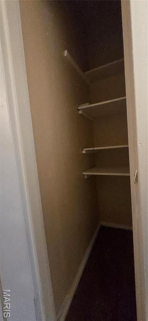 6128 Bircher St, Saint Louis, MO 63120 - view of closet