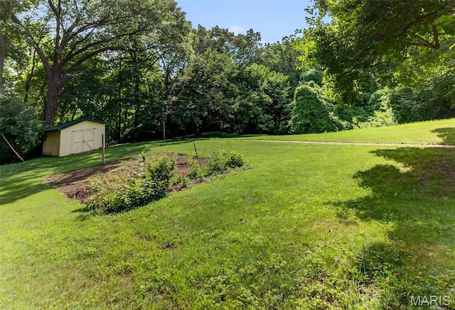 49 Lakeview Dr, Belleville, IL 62223 - photo 26