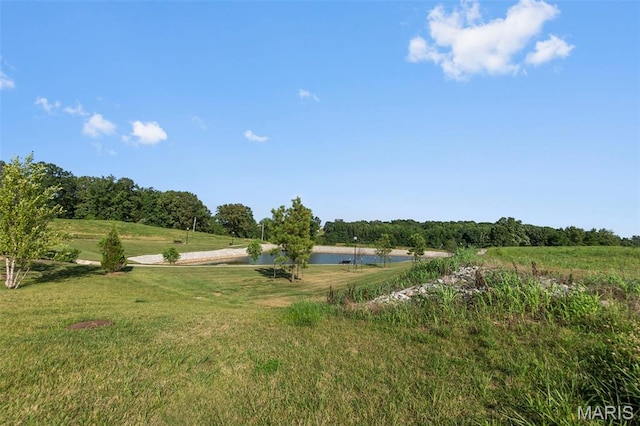 4561 Kingston Ave, Cape Girardeau, MO 63701 - photo 25
