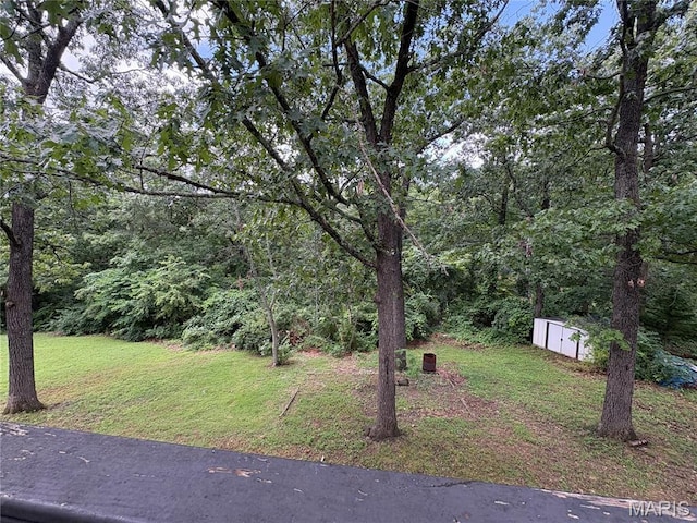 49 Walnut St, Viburnum, MO 65566 - photo 6