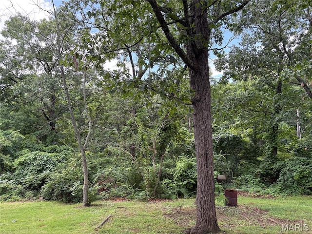 49 Walnut St, Viburnum, MO 65566 - photo 7