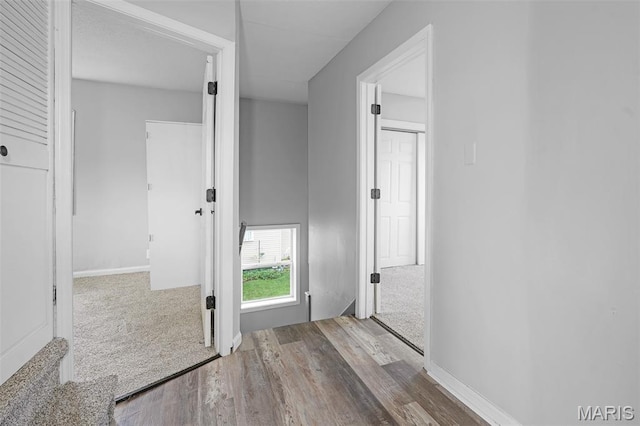 2162 State St, Granite City, IL 62040 - hallway featuring wood finished floors and carpet floors