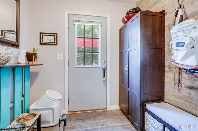 116 N Washington St, Troy, IL 62294 - doorway to outside featuring wood finished floors and baseboards