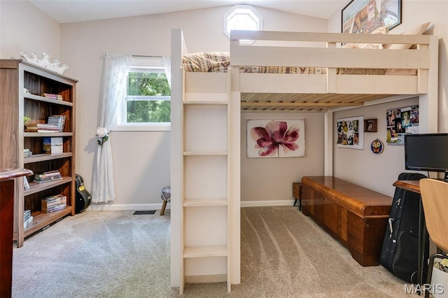 116 N Washington St, Troy, IL 62294 - bedroom featuring carpet floors and lofted ceiling