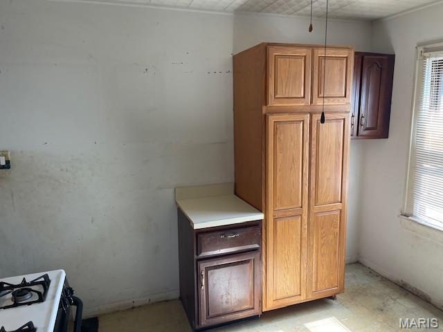 8614 Hume Ave, St John, MO 63114 - kitchen with plenty of natural light